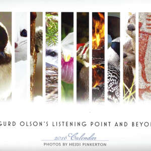 Listening Point Foundation 2016 Calendar